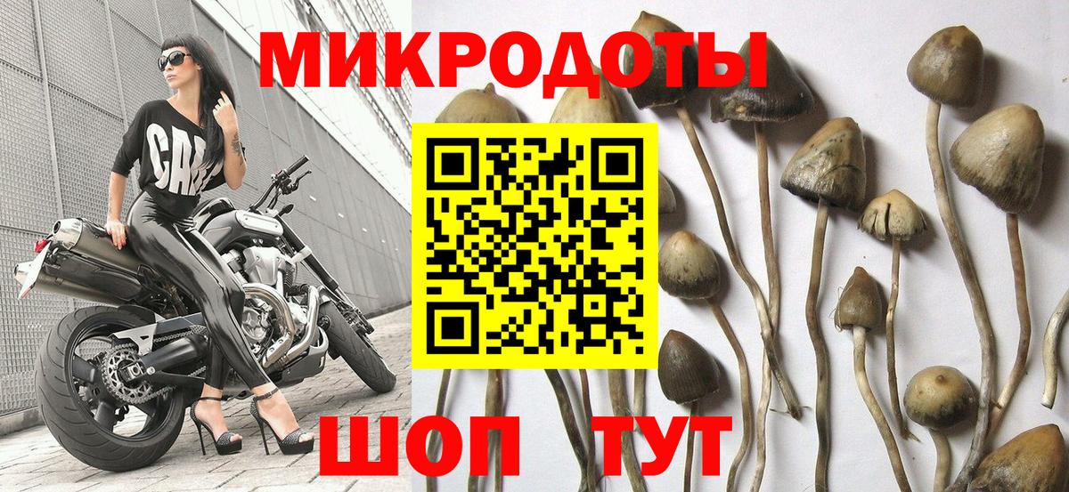 Галлюциногенные грибы Psilocybine cubensis  Вход с VPN  Октябрьский 